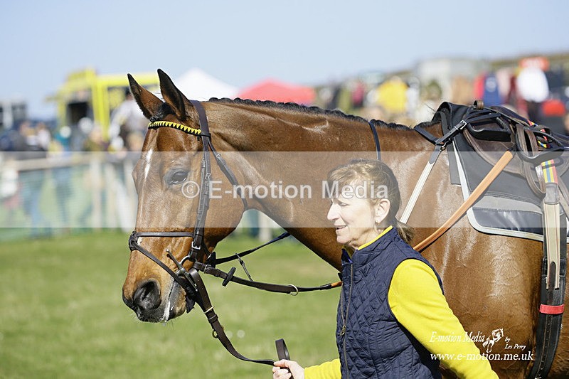 PtP 190322 338 - Wilton Hunt PtP Milborne St Andrew 19/03/22