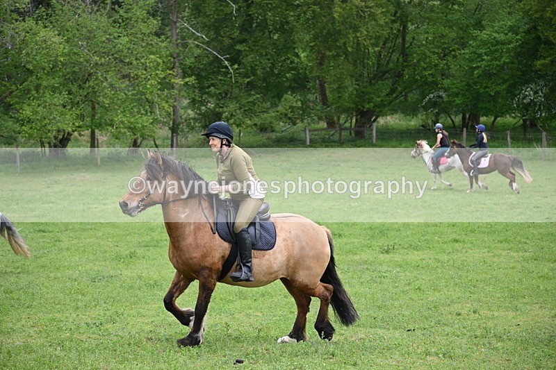 WJ6_3362 - A camera
