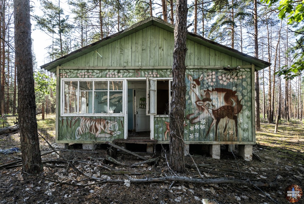 Paintings of deer and a tiger adorn one of Emerald Camp's cottages