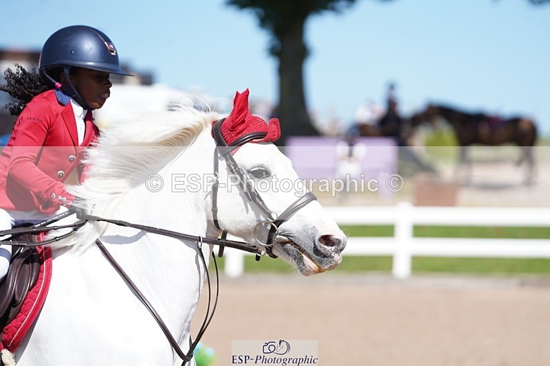 250627-160316-00016 - Cls 2 Pony Intro 80cm