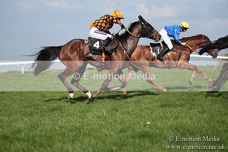 PtP 210418 545 - South & West Wilts Point-to-Point Larkhill 21/04/18