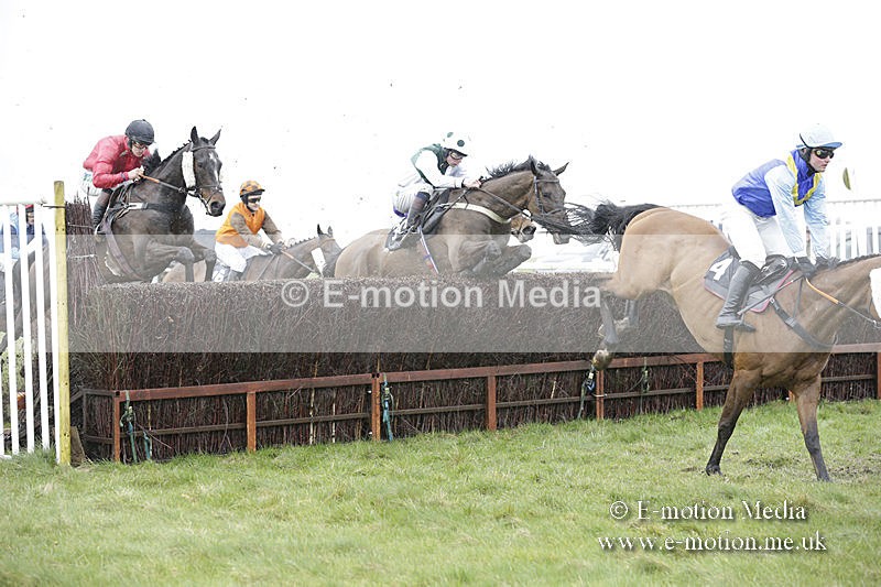PtP 150320 0299 - New Forest Point-to-Point Larkhill 15/03/20