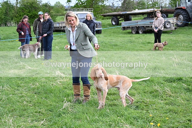 WJ6_8167 - Class 2 Best Pedigree