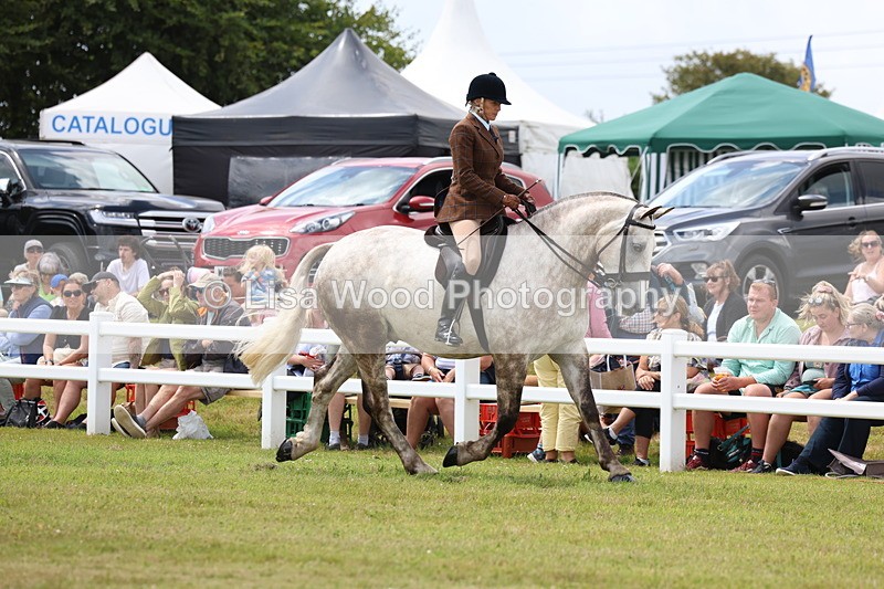 3E7A1878 - Class 10: Open Cob