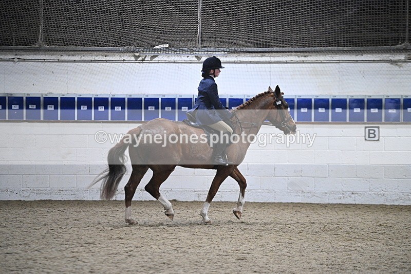 WJ7_4124 - Class 17 Ridden Cob