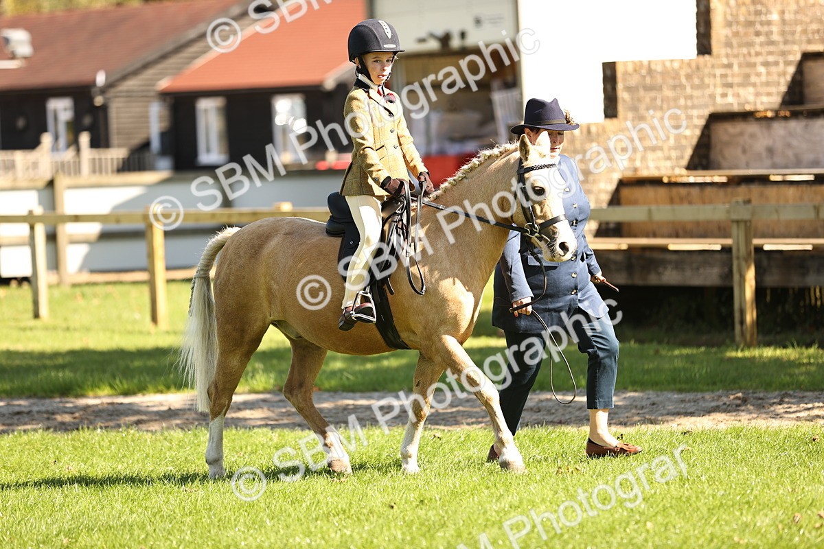 SBM_19301 - S3 - TSR Ridden Pony Showing