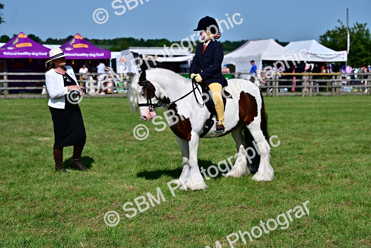 SBM_09396 - Class 63-65 - Traditional Gypsy Cobs In Hand & Ridden