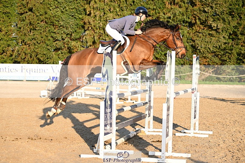 250322A-171818-03739 - Cls 14 Snr Fox & 1.20m Open