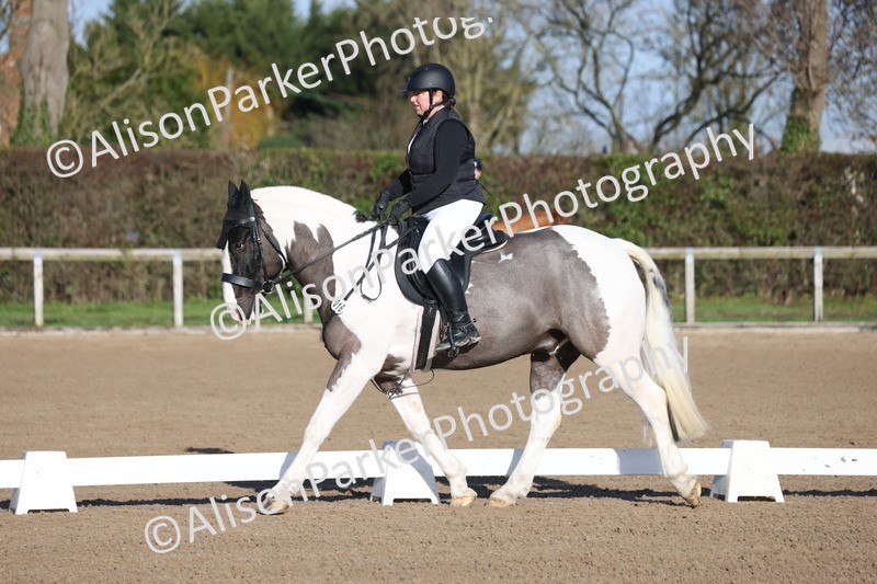 20260128-0254 - Class 3 - Novice 4