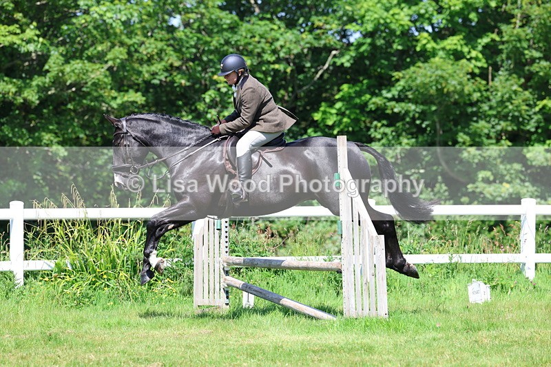 3E7A6994 - Class 30: Novice Working Hunter