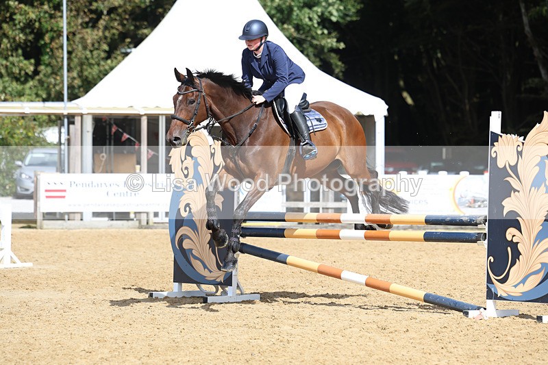 3E7A9455 - Class 9: Senior British Novice/90cm open