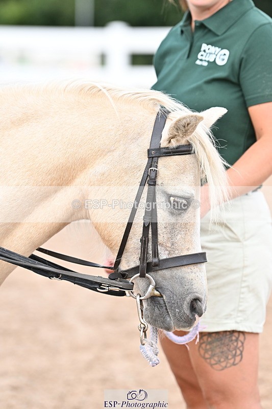 250821B-121934-00395 - Group D - Thomasina