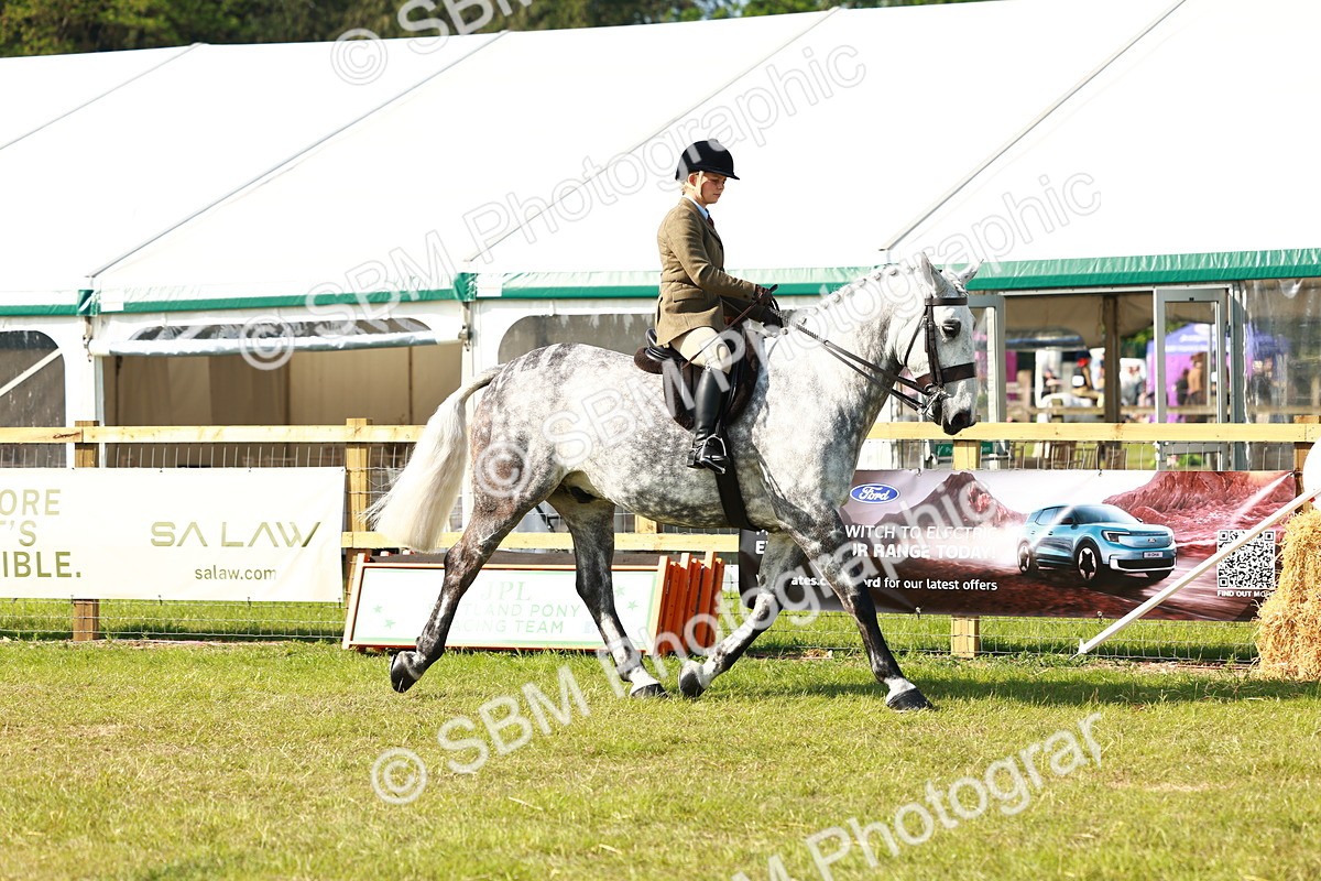 SBM_11742 - Class 66-69 - RIHS Ridden Hunters Inc Small Hunter