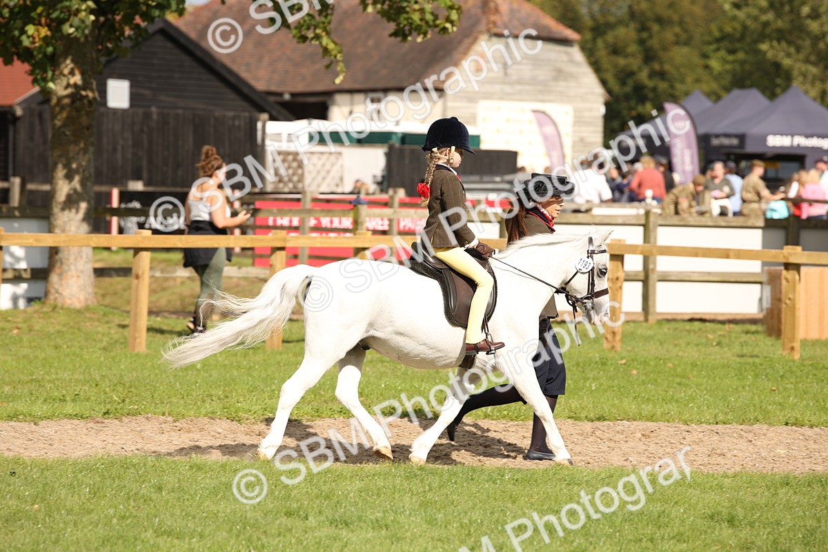 SBM_49986 - S26 - Young Veteran - Ridden