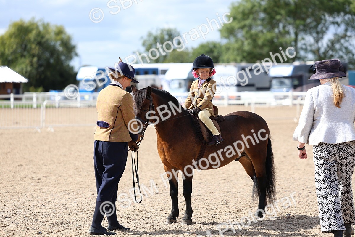 SBM_13076 - Class 309 - Lead Rein Pony