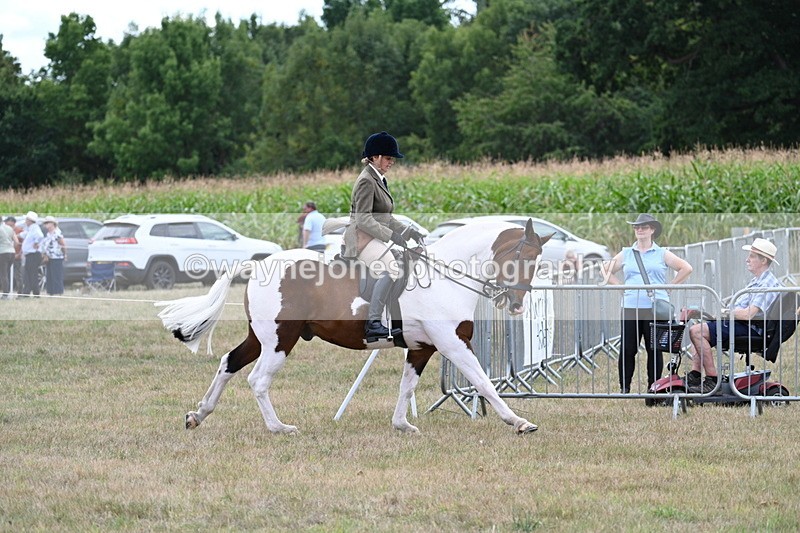 WJ7_5220 - Class 12 Ridden Cob