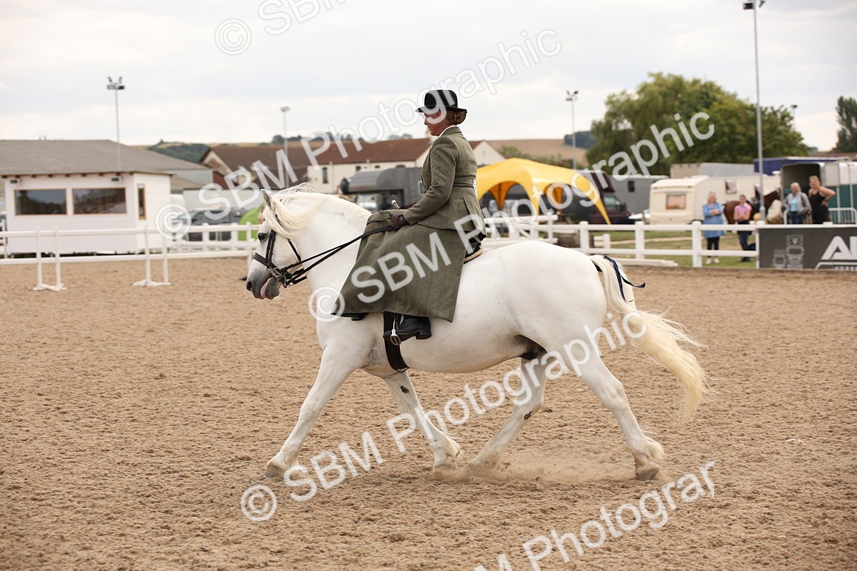 SBM_05400 - Class 22 SSA Equitation