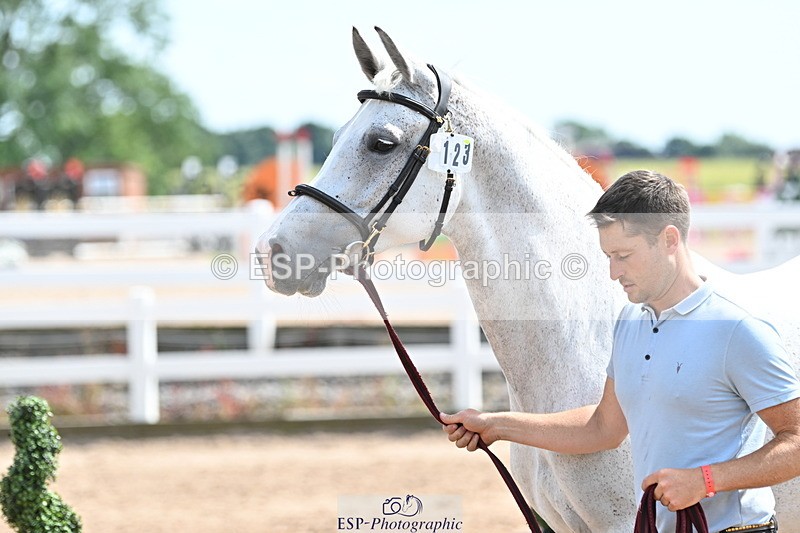 240717A-151806-02736 - Trot Up 3pm to 4pm