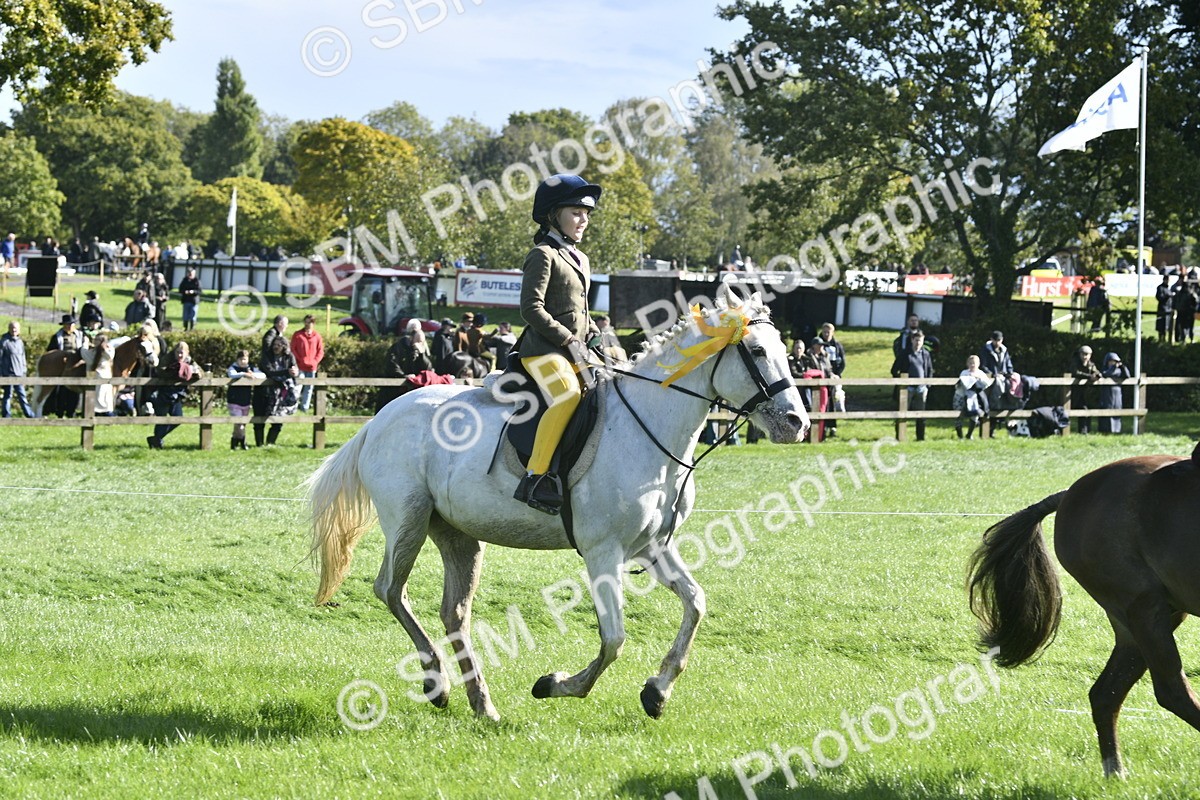 SBM_37261 - S31 - Novice & Newcomer Working Hunter Pony