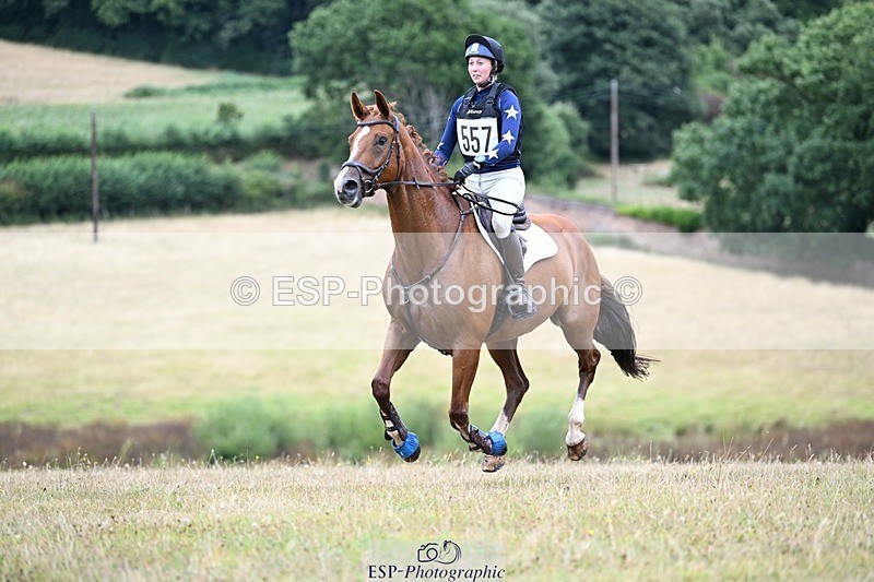 250803A-124347-13291 - M-557-Heidi.Allen-COMIC.WANDA