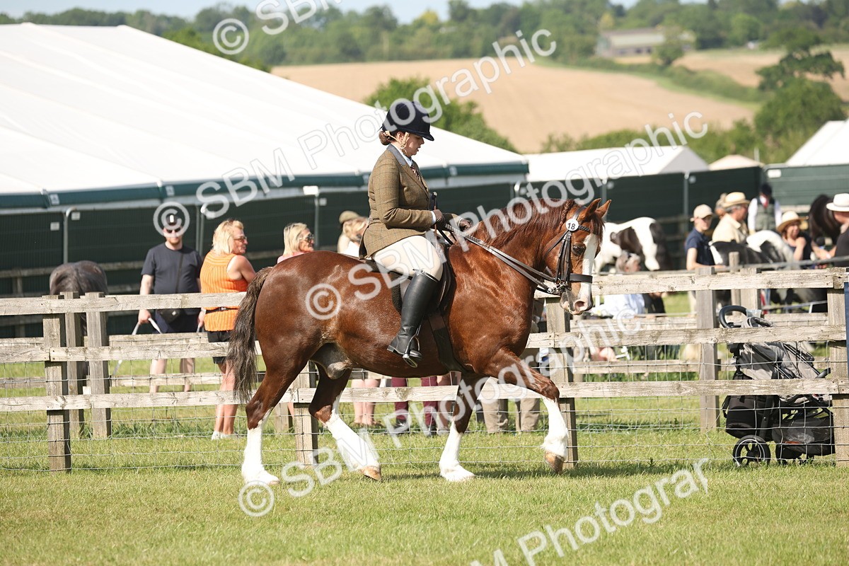SBM_09535 - Class 33-38 - SSADL RIHS Qualifiers