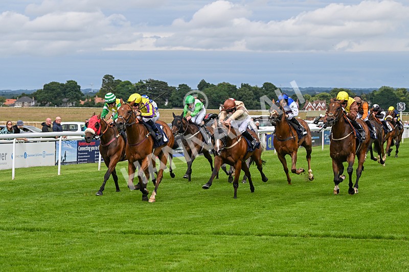 160724-Race 4-Jack Of Clubs-8994 - Race 4