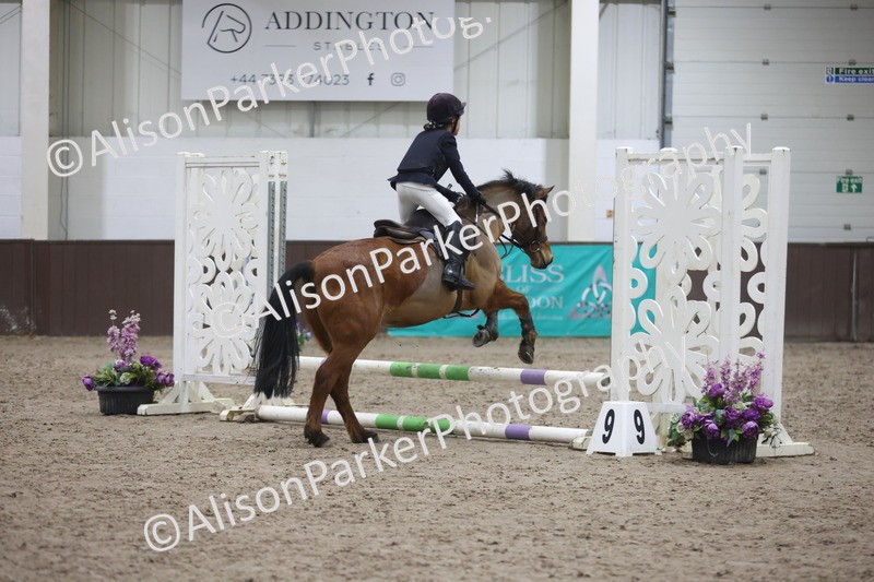 20260125-1590 - Class 2 - 50cm