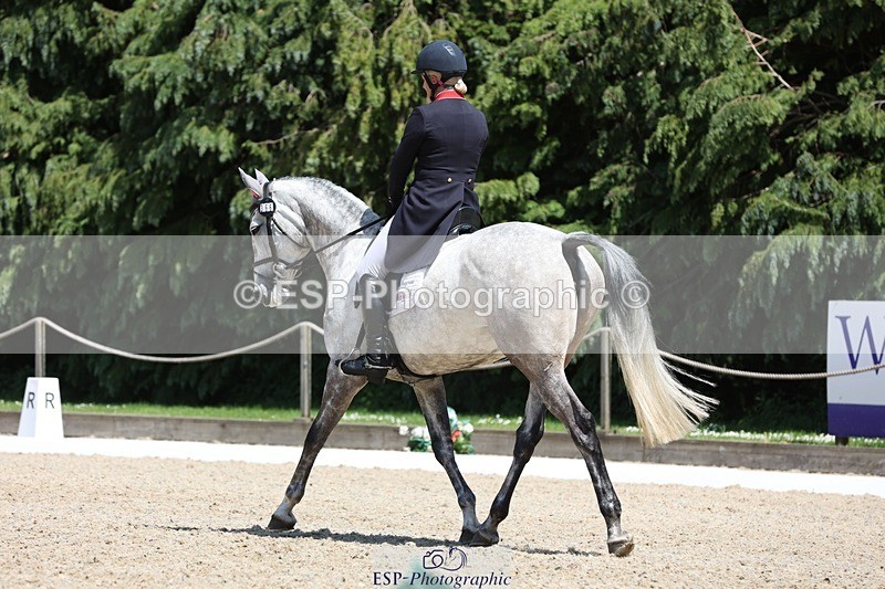 230526-133051-06339 - 366-KILMINGTON_FOLLY-Kristina_Cook-WEDTrotUp+DR