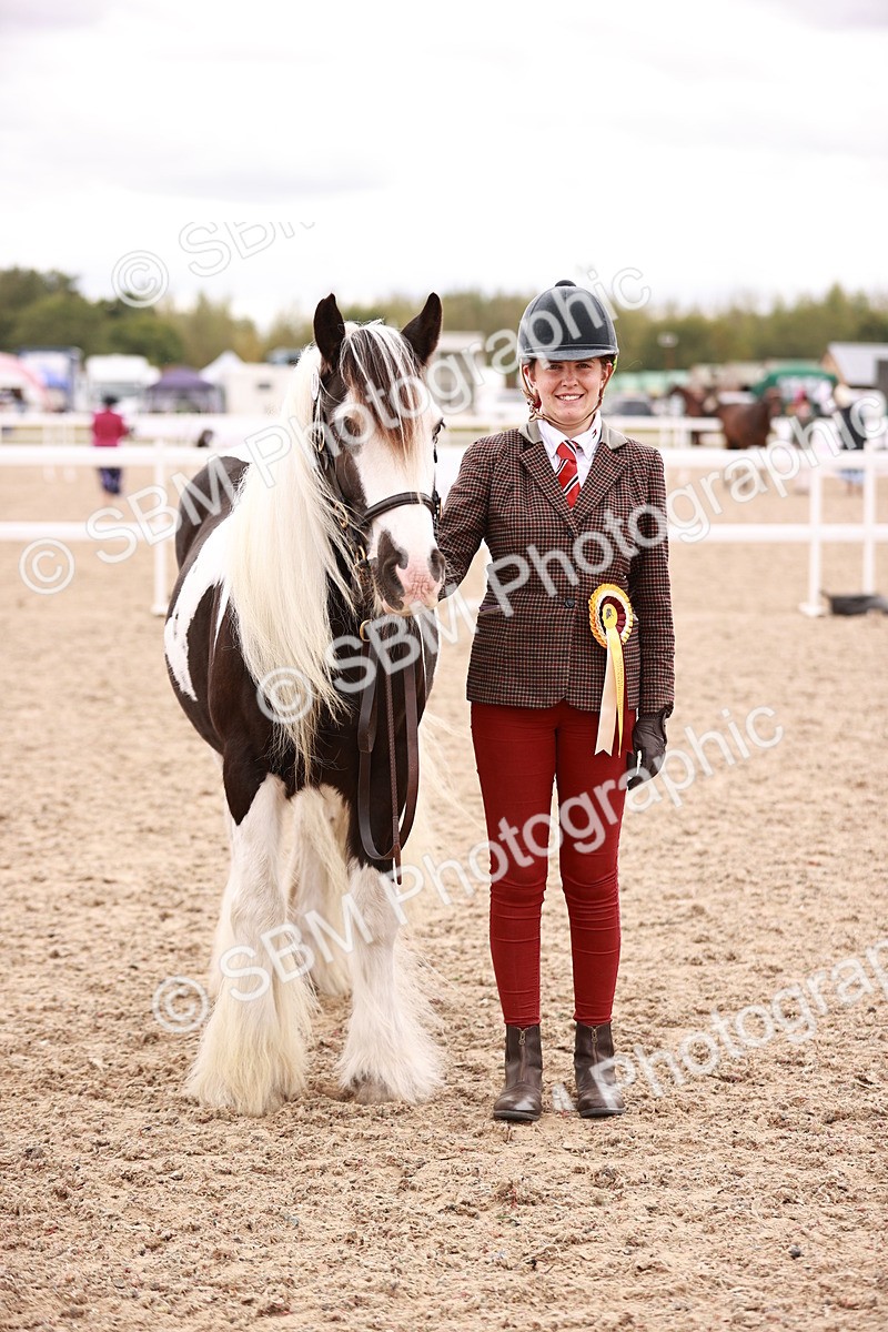 SBM_16873 - Class414 - Best maine & Tail - Adult