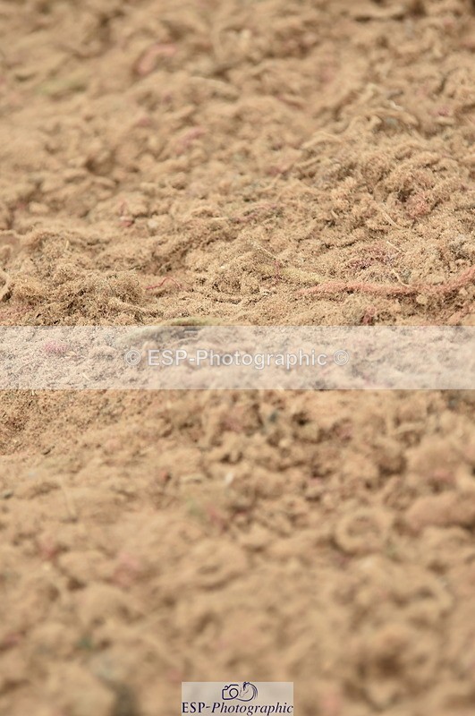 230611A-121702-05448 - Cls 34 1.05m Amateur Qualifier