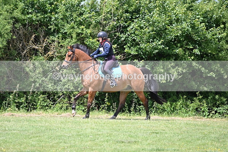 WJ6_3380 - Class 4 60cm