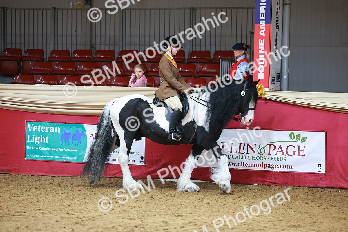 SBM_09567 - Class 102 - HOYS Veteran Qualifier - Ridden Veteran