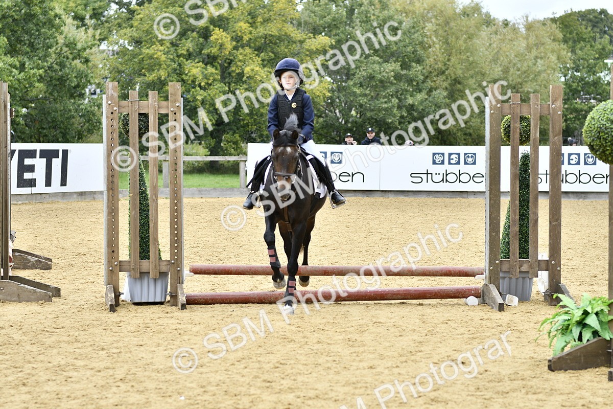 SBM_65414 - J2a mini Tour Junior Pony 30cm Championship