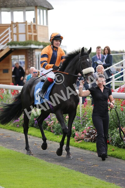 yr24092021r1-87 - Race 1 1.10pm Ernest Cooper Macmillan Ride of Their Lives
