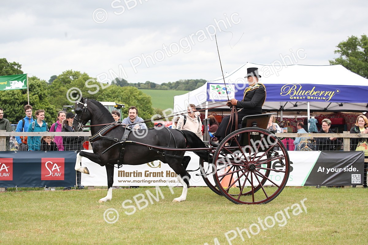 SBM_05934 - Class 12-15 - HOYS Private Driving