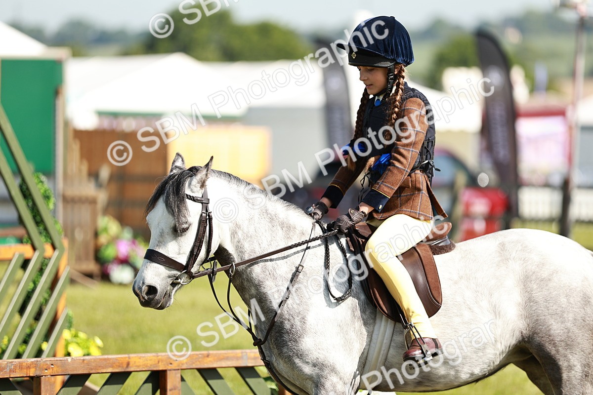SBM_12653 - Class 106-107 - BSPS LIHS Working Sports Pony
