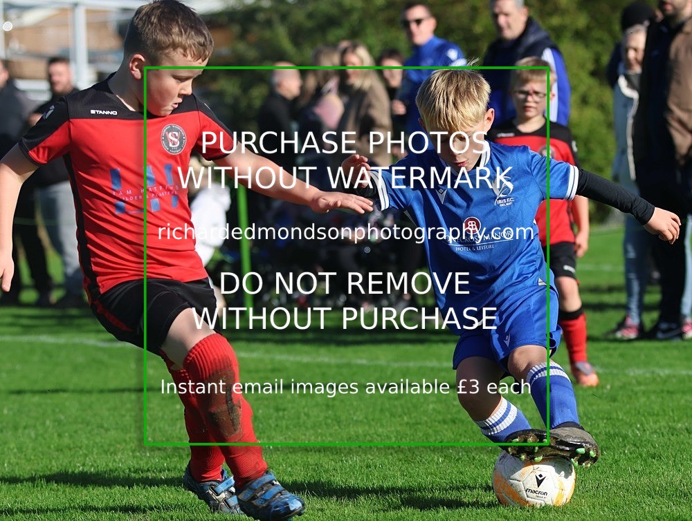 533A5049 - Ibis Youth Under 9's (17/10/26)