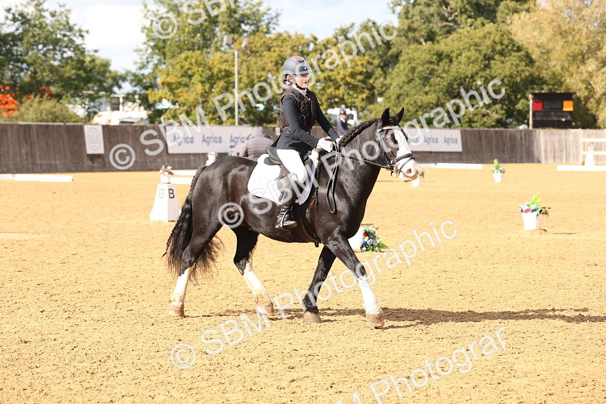 SBM_47488 - D12 - Small Tour Championship prelim 2