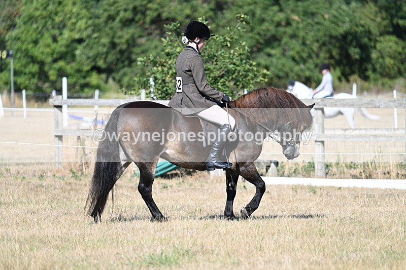 WJ7_3126 - Class 8 Ridden Tack & Turnout