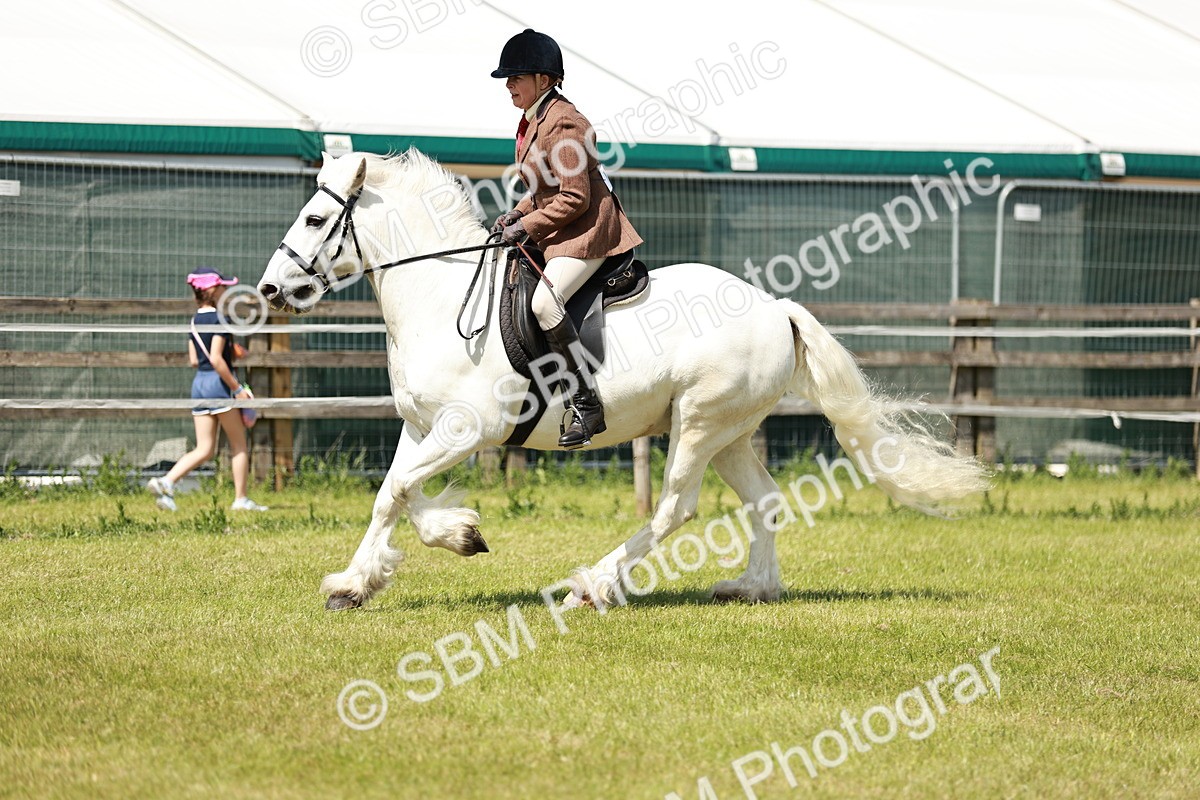 SBM_07080 - Class 26-30 - Mountain and Moorland Ridden