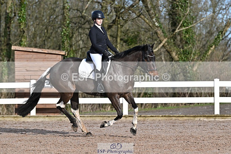 250125-104927-00247 - Dressage - CT Class 4 BE95 (80cm)