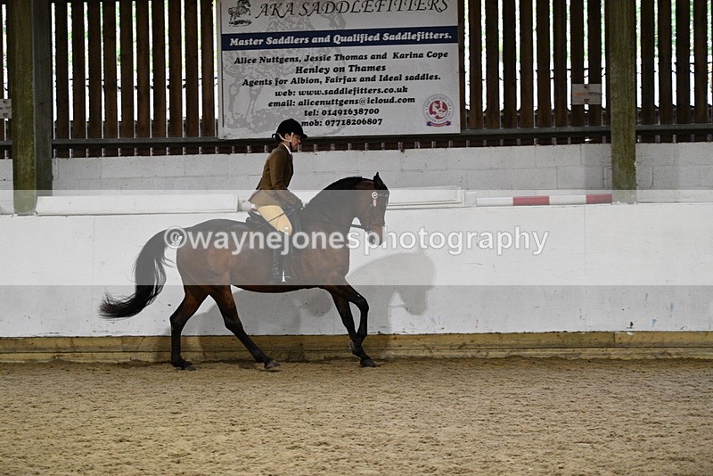 WJ5_8857 - Class 15 Ridden Show Horse