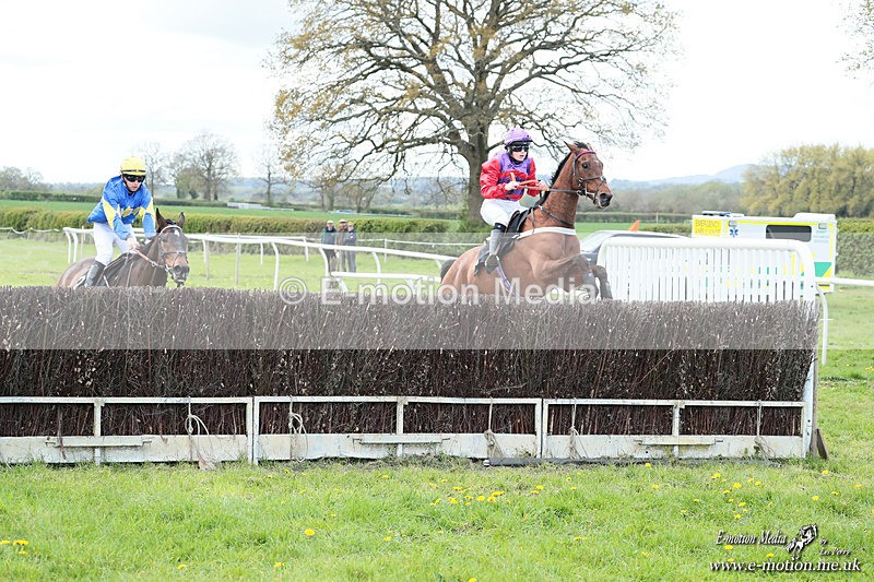 PtP 180426 117 - Worcestershire Hunt PtP Chaddesley Corbett 18/04/26