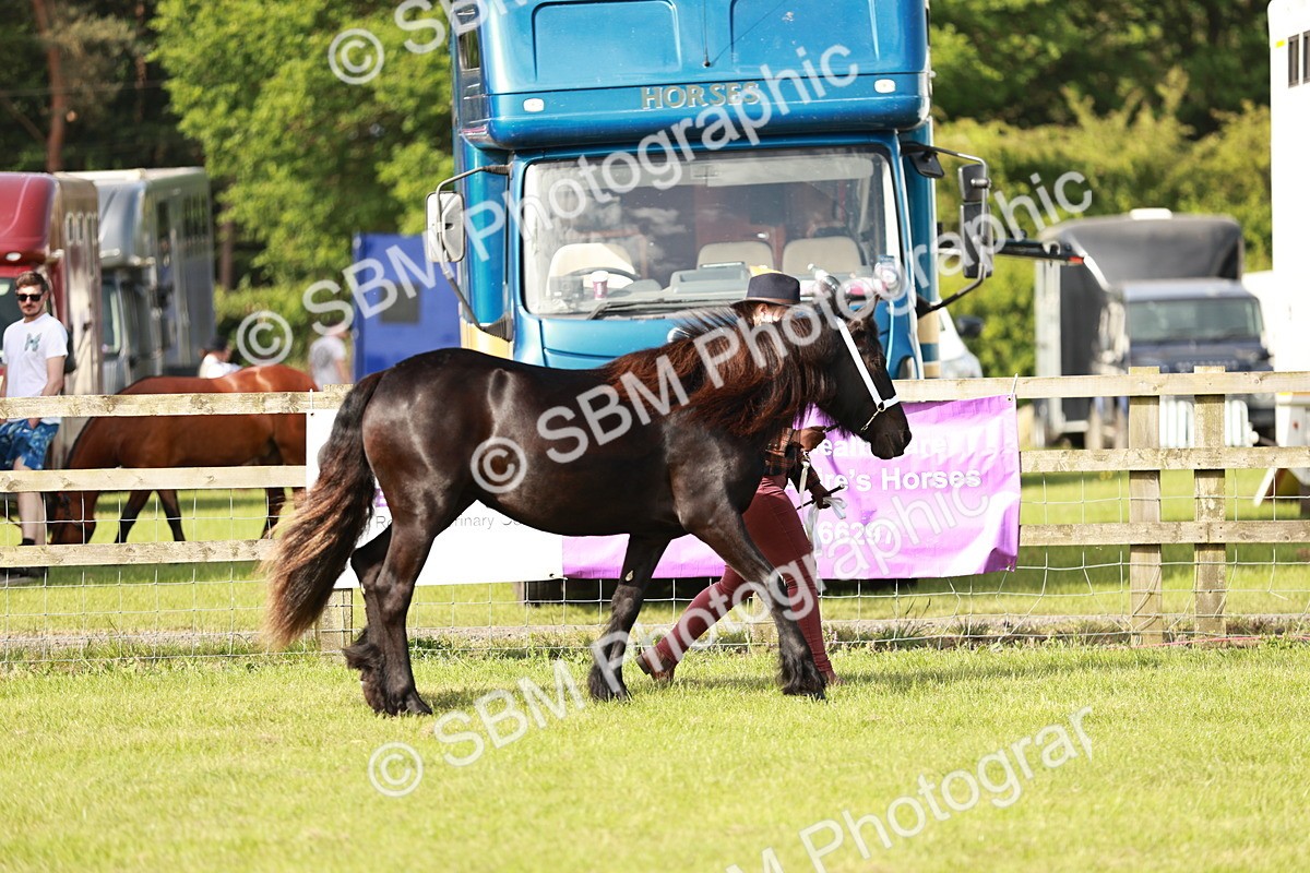 SBM_00674 - Class 14-23 - Mountain & Moorland In Hand Non Welsh