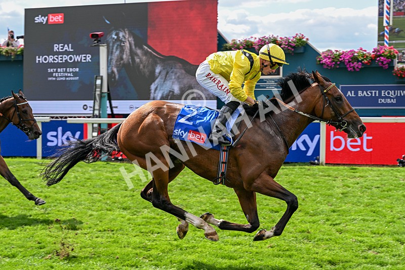 220826-Race 2-Infraad-9798 - Race 2 14.25pm Sky Bet Melrose Handicap