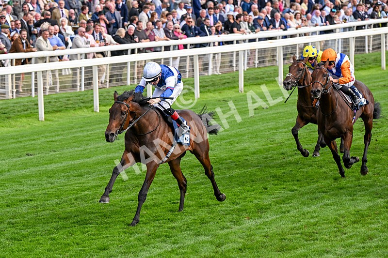 210826-Race 6-Benjamin Hornigold-0374 - Race 6 16.45pm British Stallion Studs EBF Convivial Maiden Stakes
