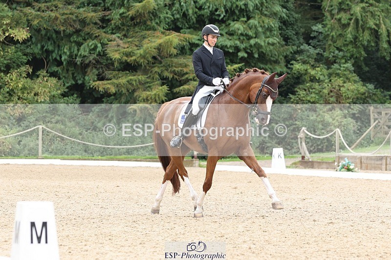 240810-133922-03364 - 150-Gijs.Van.Vooren-Hawtins.Quattro