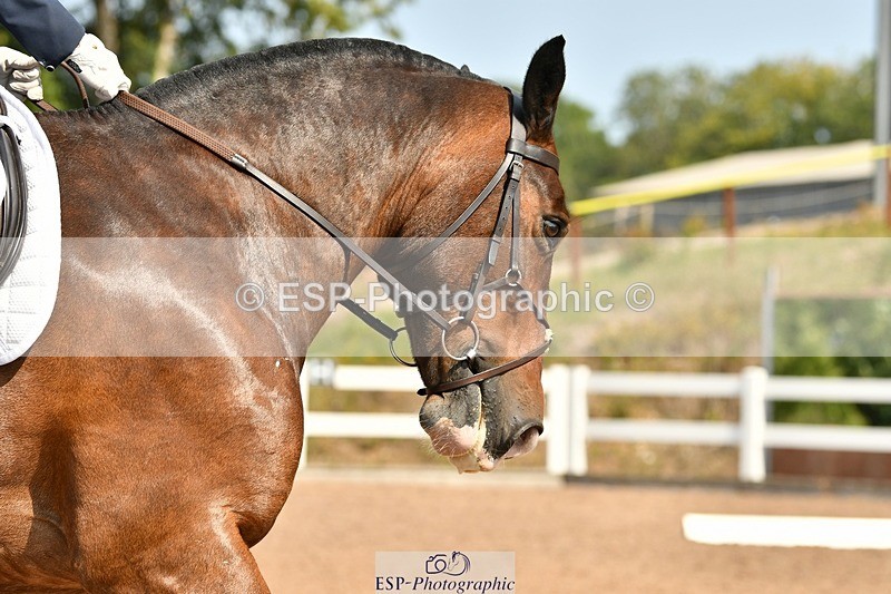 250817-115754-08714 - 218-Carol.QuantrillCormoy.Lad