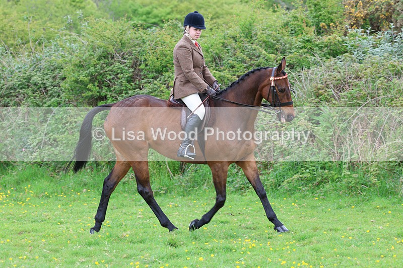 3E7A1931 - Class 10: Ridden Sports Horse