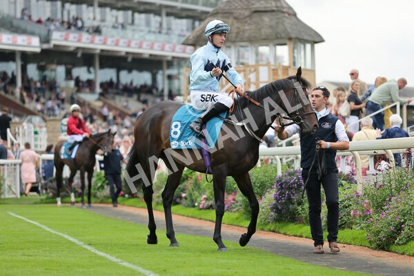 yr04092022r3-15 - Race 3 2.55pm The Elevator Company Garrowby Stakes